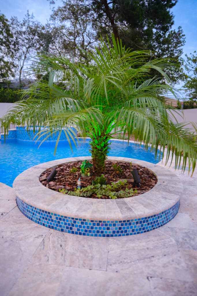 Close-up of a palm tree planter